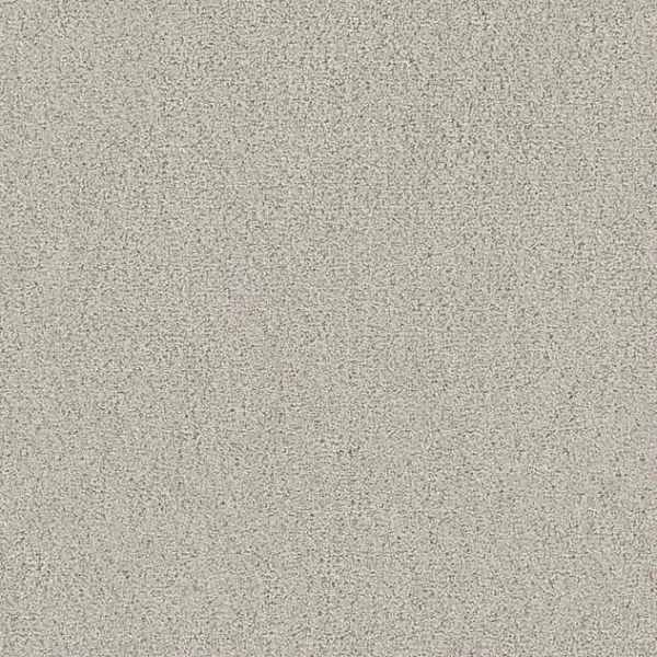 Draufsicht Girloon TWIN Teppichboden Velours 845 Greige, 2/4 m breit